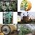 Dryer Cylinder, Dounle Dryer Can Kraft Paper Machinery