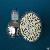 Gx5.3 Led Mr16 Gu5.3 Bi Pin Spolight Lamp Smd Diod