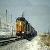 Transit Cargo, China Railway Transport To Dushanbe / Tajikistan-neptune Logistics