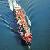 Shipping Rates From Chiwan Yantian Shenzhen To Miami / Houston, 27days