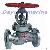 Marine Liquefied Gas Globe Valve