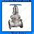 Cast Steel Wedge Gate Valves