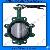 Lug Type Butterfly Valve With Pin