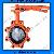 Lug Type Butterfly Valve With Two Stems Pinless