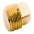 Brass Square Plug