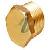 Brass Hex Plug