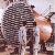 Titanium Heat Exchanger