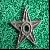 Cast Iron Star Decoration