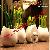 Led Green Plants Night Light