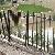 Sell Steel Fencing, Pre-galvanized / Aluminum, Powdercoated, Black Colour