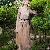 Western Major Slim Elegant Lace Montage Long Dress Khaki White