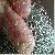 Knitted Wire Mesh For Airbag