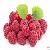 Palmleaf Raspberry Fruit Extract