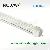 2 Feet 12w T8 Led Tube