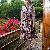 Cotton Pleated Long Pretty Skirts Blue Flower
