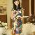 Retro Slim National Improve Cheongsam Dresses