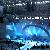Shows Held In Stadia
