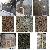 Granite China, Chinese Granite