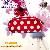 Fashion Lady Cosmetic Bag