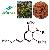 Rhodiola Rosae Extract 5% Rosavins / 3% Salidroside
