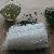 Pea Vermicelli