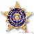 Military Star Lapel Pins