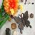 Cast Iron Butterfly
