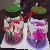 Electric Fish Jar