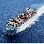 International Shipped From Shanghai / Shen / Qingdao / Ningbo To Dublin / Antwerp / Zeebrugge / Gdyn
