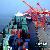 International Shipped From Shanghai / Shenzhen / Qingdao / Ningbo To Oita / Osaka / Sakaiminato / Se