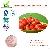 Good Quality Acerola Cherry Extract Vc