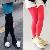 Sell Colorful Girl Leggings / Tights, Childrenl Cute Pants For Wholesale Skype Topodasales