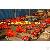 Cardan Shafts Used In Pipe Mill And Tube Mills