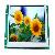 4.3 Inch Tft Smart Terminal Lcd Display Module Support Rs232 Rs485 And Uart