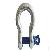 Shackle / Screw Pin Anchor Shackle