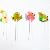 Cartoon Fish Shape Jelly Pops Candy