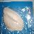 Frozen Tilapia Skinless Fillet