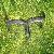 Carbon Road Handlebar