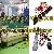 Air Bearings Casters Pictures