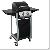 Two Burner Gas Grill Bbq