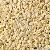 Sesame Seed