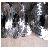 Stainless Steel Wire