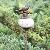 Garden Sticks Srgg-60013