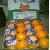 Egyptian Fresh Navel By Fruit Link