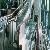 Passenger Conveyors