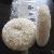 Polishing Wheel, Glass Polishing
