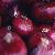 Egyptian Red Onions