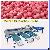 Apple Grading Machine, Mango Sorting Machine
