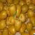 Egyptian Fresh Barhi By Fruit Link