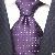 Charming Silk Necktie No Wst-330